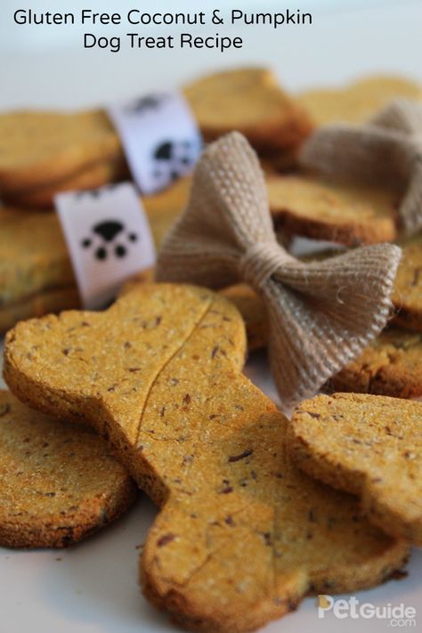 Perfect for dogs who can’t eat gluten, this recipe combines pureed pumpkin with coconut flour for a treat that’s easy on the tummy. Gluten Free Dog Treats, Pureed Pumpkin, Homemade Dog Cookies, Pet Treats Recipes, Dog Treat Recipe, Dog Treats Grain Free, Dog Biscuit Recipes, Easy Dog Treats, Healthy Dog Treats Homemade