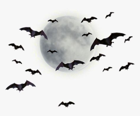 Moon With Bats, Bat Png, Silhouette Nails, Png Top, Moon Png, Celtic Moon, Flying Bats, Moon Silhouette, Leaf Clipart