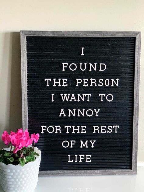 The BEST funny letter board quotes for your Valentine. Can also be used on chalkboards, for Valentines Day cards or notes. Cute Word Board Quotes, Anniversary Letter Board Quotes, Marriage Letterboard Quotes, To My Valentine Quotes, Funny Love Letter Board Quotes, Letter Board Song Lyrics, Cute Notes For Him Funny, Funny Valentines Letter Board Quotes, Anniversary Letterboard