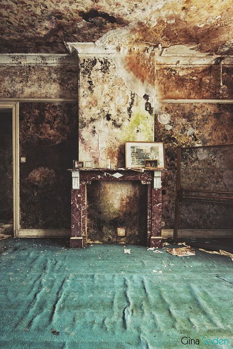 Mould by Gina Soden Evolution Photography, Gina Soden, Decay Photography, Growth And Decay, Beautiful Decay, Abandoned Things, Defying Gravity, Life Board, Abandoned Mansions