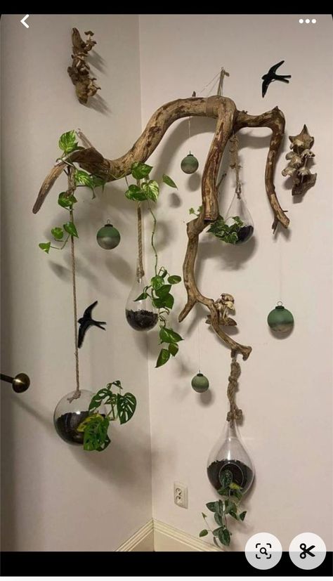 Julkransar Diy, نباتات منزلية, Plant Decor Indoor, Driftwood Crafts, House Plants Decor, Room With Plants, Deco Floral, Rustic Garden Decor, Garden Art Diy