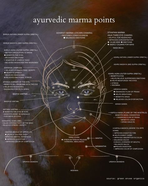 acupuncture points have been used for centuries—reflexology in chinese medicine and marma therapy in Ayurveda. reflexology maps areas on your face to different organs, while marma points gently activate energy centers to connect mind and body. both practices encourage lymphatic flow, reducing puffiness and helping clear out toxins, while boosting circulation for a natural glow. gentle pressure also releases tension, lowers stress, and calms the nervous system. make sure to drink water bef... Cupping Points Chart, Marma Points Ayurveda, Face Reflexology Chart, Human Pressure Points, Marma Therapy, Hijama Points, Marma Points, Chinese Cupping, Energy Centers