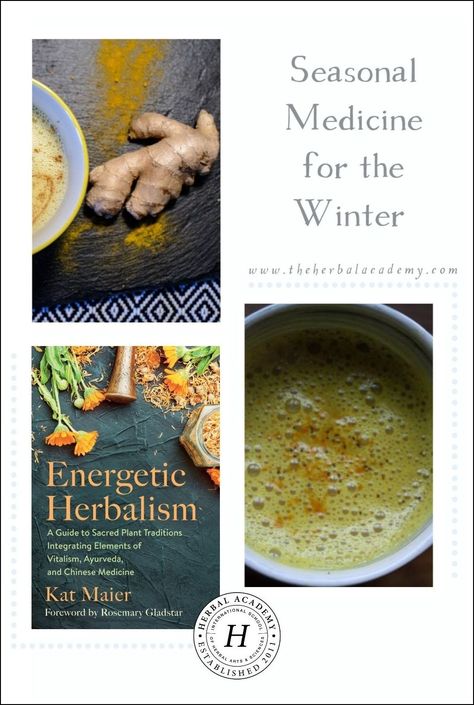 Seasonal Medicine for the Winter | Herbal Academy | Learn about using seasonal medicine for winter in this book excerpt from Kat Maier's book, "Energetic Herbalism". Winter Herbal Remedies, Energetic Herbalism, Horseradish Recipes, Cordial Recipe, Herbal Academy, Natural Medicine Cabinet, Winter Breakfast, Kidney Recipes, Vegetarian Cookbook