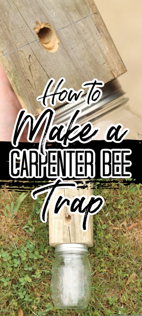 Learn how to make a carpenter bee trap to save the wood around your home! A bore bee trap may be just what you need to keep those pests away! Wood Bee Trap, Bee Catcher, Bee Trap, Carpenter Bee Trap, Bee Traps, Wood Bees, Carpenter Bee, Bee Boxes, Country Chic Cottage