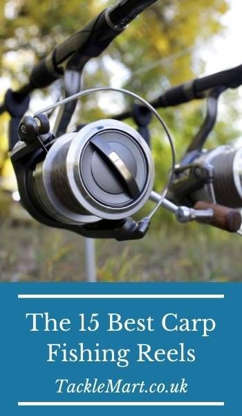 best carp reels Carp Rods, Carp Fishing Tackle, Tackle Shop, Fishing Guide, Carp Fishing, Big Fish, Fishing Reels, Fishing Tips, Fishing Gear