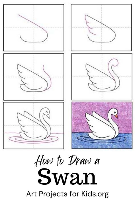 Draw A Swan, Trin For Trin Tegning, Swan Drawing, Swans Art, Photo Animaliere, Drawing Lessons For Kids, Easy Drawings For Kids, Basic Drawing, Drawing Projects