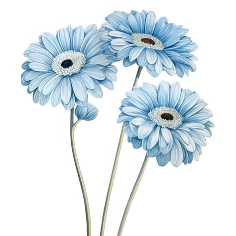 Blue Gerbera Daisy, Gerbera Daisy Tattoo, Daisy Flower Drawing, Hot Air Balloon Drawing, Gerbera Daisy Flower, Gerbera Bouquet, Daisy Drawing, Logo Online Shop, Gerbera Flower