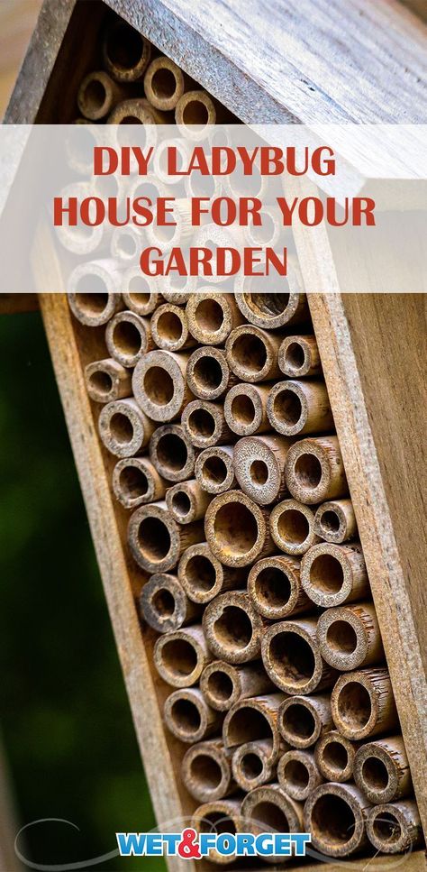 Keep ladybugs around in your garden with this DIY ladybug house! Diy Ladybug, Ladybug House, Ladybug Garden, Dig Gardens, Garden Catalogs, Insect Hotel, Bug Hotel, Garden Bugs, Veggie Patch