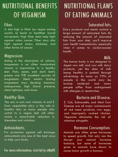 Veganism Vegan Benefits, Vegan Facts, Fruit Health Benefits, Matcha Benefits, Lemon Benefits, Fiber Diet, Coconut Health Benefits, Why Vegan, High Fiber Diet