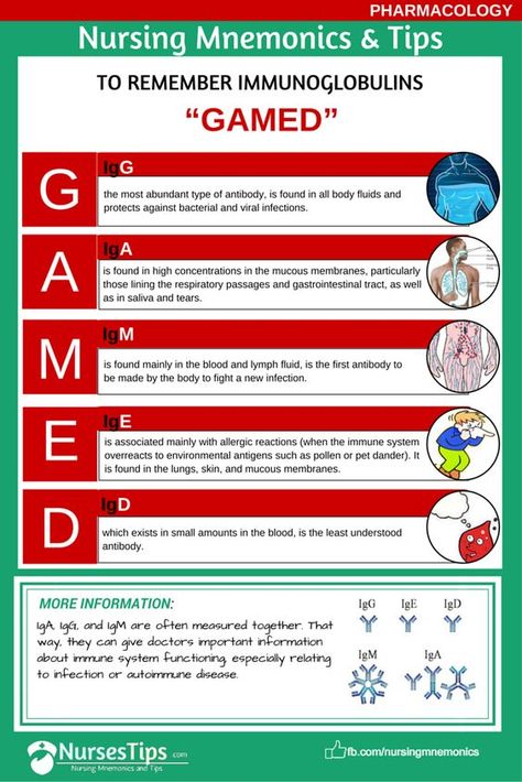 The 5 types of antibodies                                                                                                                                                                                 More Np School, Nursing Mnemonics, Neonatal Nurse, Nursing School Survival, Pharmacology Nursing, Medical Laboratory Science, Nursing School Studying, Nursing School Tips, Nursing School Notes