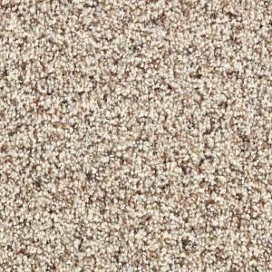 Martha Stewart Living Fontainebleau - Color Hickory 12 ft. Carpet-868HDMS202. Saw similar carpet at http://www.simiflooring.com/ Speckled Carpet, Frieze Carpet, Grey Carpet Bedroom, Fluffy Carpet, Neutral Carpet, Shaw Carpet, Brown Carpet, Shag Carpet, Cheap Carpet Runners