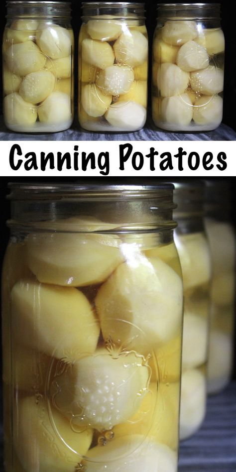 Can Potatoes, Canning Potatoes, Pressure Canning Recipes, Canned Potatoes, Canning 101, Home Canning Recipes, Canning Vegetables, How To Store Potatoes, Canning Food Preservation