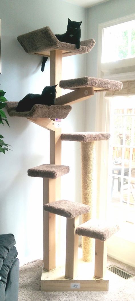 Cat Tree Ideas, Cat Trees Homemade, Cats Tree, Diy Cat Tower, Cat Tree Plans, Katt Diy, Cat Tree Designs, Kitty Toys, Cat Tree House