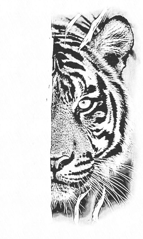 Tiger Tattoo Stencil Design, Tiger Face Tattoo Stencil, Tiger Face Stencil, Lion Tiger Tattoo, Tiger Tattoo Drawing, Tiger Tattoo Stencil, Tiger Stencil, Tiger Hand Tattoo, Tiger Face Tattoo