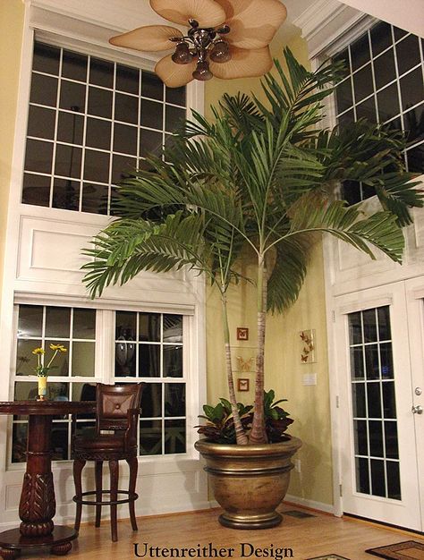 Great Room Idea, Indoor Palm Tree Indoor Design Living Room, Indoor Palm, Palm Plants, Indoor Palm Trees, Small Room Divider, Online Landscape Design, Corner Decoration, Indoor Palms, Diy Room Divider