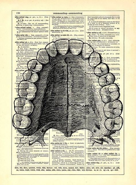 Pin de Mari López en BE.SATTVIC | Arte dental, Anatomía dental, Escuela de higiene dental Dental Wallpaper, Human Mouth, Dentist Art, Teeth Drawing, Dental Posters, Kesehatan Gigi, Teeth Art, Dental Anatomy, Dental Office Decor