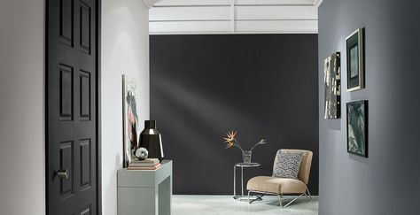 Gray Painted Room Inspiration and Project Gallery | Behr Grey Painted Rooms, Grey Interior Paint, Interior Paint Schemes, Behr Colors, Paint Color Inspiration, Behr Paint, Gray Paint, Grey Paint Colors, Best Paint Colors