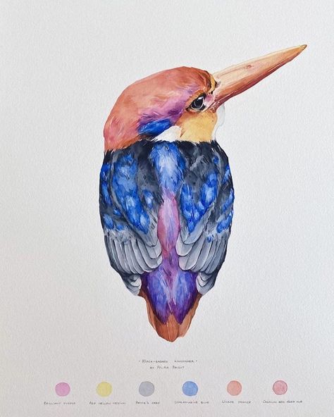 Polina Bright on Instagram: “Which one is your favorite? 1,2,3,4 or 5? Swipe right 👉🏻” Polina Bright, Leopard Art, Bright Art, Watercolor Projects, Swipe Right, Watercolor Sketch, Art And Illustration, Kingfisher, Watercolor Animals