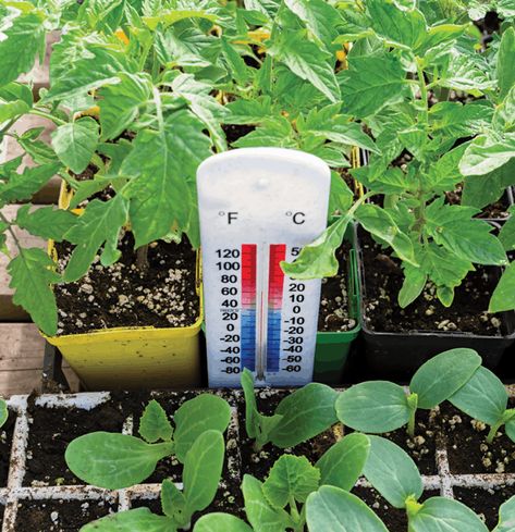 5 tips for temperature control in your growing environment Greenhouse Temperature Control, Greenhouse Ventilation, What Is Hydroponics, Garden Mum, Energy Audit, Mechanical Ventilation, Greenhouse Gardening, Natural Ventilation, Growing Indoors