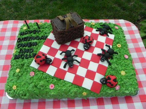 Ant Picnic, Lady Bugs, 1st Bday, Ants, Picnic Blanket, Diy Gifts, First Birthdays, Bugs, Birthday Cake