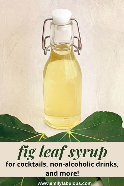 Fig Leaf Syrup, Garden Apothecary, Fig Leaf Tea, Fig Syrup, Edible Leaves, Simple Syrup Recipe, Sauces Recipes, Syrup Recipes, Simple Syrup Recipes