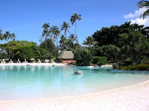 Le Meridien Tahiti: Sand bottom pool Man Made Beach, Le Meridien, Backyard Beach, Pool Picture, Natural Swimming Pools, Mary Poppins, French Polynesia, Senior Dog, Diy Backyard