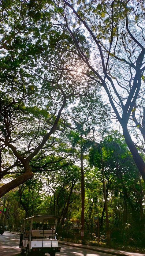 Iit Bombay Campus, Iit Bombay, Life Goals, Collage, Pins