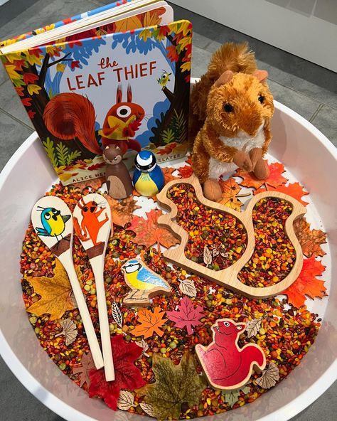 This has been our lovely story tray set up for this week. I absolutely love this story for Autumn time, it is just the cutest! 🐿️🍁🍂 I’ve used our homemade story spoons, Lanka Kade toys, squirrel teddy and tray, our lovely Autumn sensory base from @earlyyears_playideas use code (Homeplay10) for 10% off and our beautiful squirrel and blue tit pegs from @sarahspegs use code Sarah10 for 10% off. #babyplay #tummytime #messyplay #eyfs #eyfsideas #eyfsteacher #eyfsinspiration #sensoryplay #sensory... November Tuff Tray Ideas, The Leaf Thief, Story Spoons, Tuff Tray, Tray Ideas, Messy Play, Tray Set, The Leaf, Sensory Bins