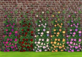 Wall Vines, Wall Climbing, Climbing Flowers, Plant Room, Climbing Rose, Rose Background, Rose Vines, Vine Wall, Sims 4 Cc Furniture