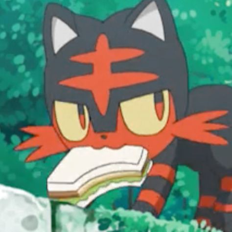 Pokemon Incineroar, Pokemon Zoroark, Avatar Zuko, Pokemon Eeveelutions, Emo Wallpaper, Cute Pokemon Pictures, Pokemon Special, Wallpaper Doodle, Emo Kid