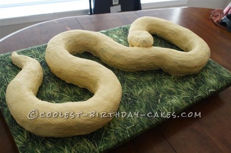 Snake Cake, Brown Food Coloring, Snake Cakes, Snake Birthday, Snake Party, Dragon Cake, Fruit Cookies, Cake Recipes Easy Homemade, Egg Cake