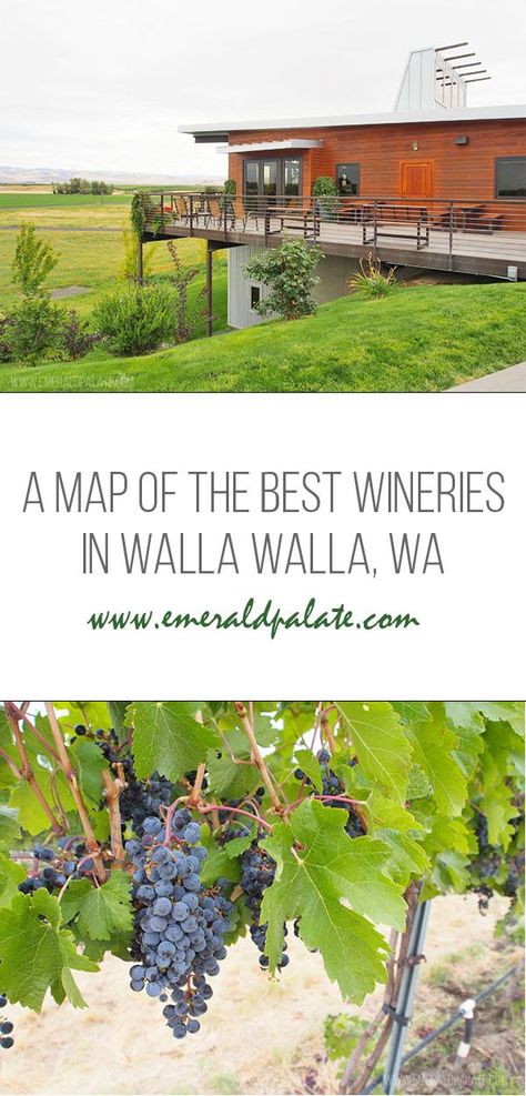 Walla Walla Wineries, Washington Wineries, Washington Wine Country, Washington Road Trip, Walla Walla Washington, Pacific Northwest Travel, Washington State Travel, Wine Country Travel, Washington Travel