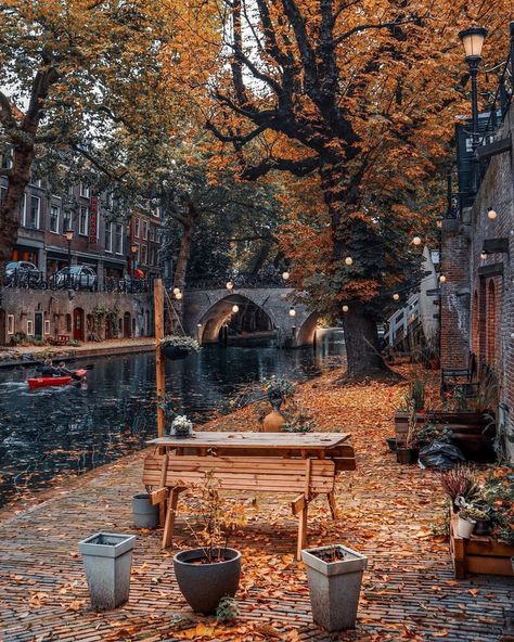 Autumn in Utrecht, the Netherlands - 9GAG Reka Bentuk Dalaman, Acnh Ideas, Van Gogh Museum, Autumn Scenery, Autumn Cozy, Autumn Aesthetic, Utrecht, Pretty Places, Fall Vibes