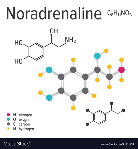 Noradrenaline Tattoo, Brain Tattoo, Chemistry Lessons, Brain Tricks, Chemical Structure, Chemical Formula, Science Humor, Cat Quotes, Sketchbook Art Inspiration