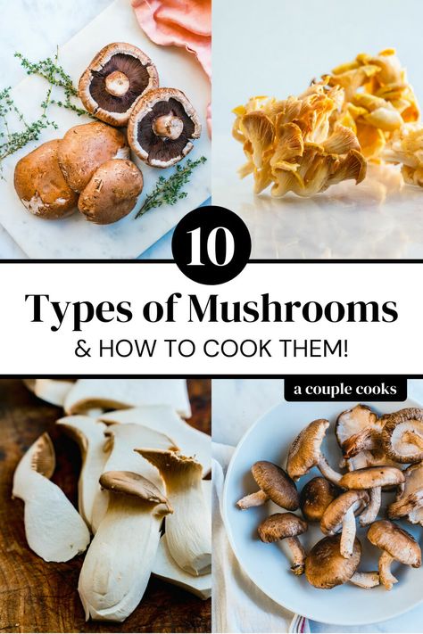 Beech Mushrooms, Mushroom Recipes Vegan, Oyster Mushroom Recipe, Types Of Mushrooms, A Couple Cooks, Mushroom Varieties, Couple Cooking, Edible Mushrooms, Broth Recipes