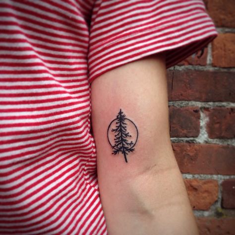 Blue spruce Chevron Tattoo, Portland Tattoo, Tattoo Band, Tattoo Line, Pine Tree Tattoo, Tree Tattoo Designs, Bracelet Couple, Tattoo Trends, Nature Tattoos