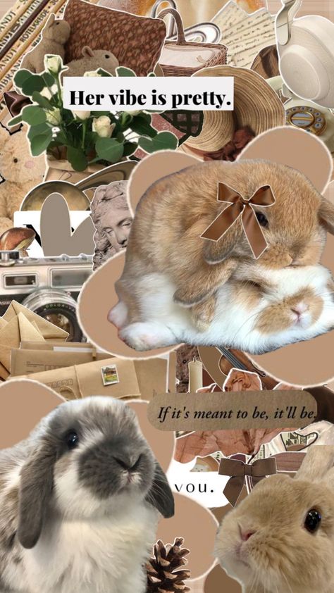 Hello again! / brown wallpaper / beige wallpaper / brown / beige / bunny wallpaper / bunny / rabbit / rabbit wallpaper / wallpaper Brown Bunny Wallpaper, Wallpaper Bunny, Rabbit Wallpaper, Brown Bunny, Rabbit Rabbit, Bunny Wallpaper, Aesthetic Picture, Beige Wallpaper, Brown Wallpaper