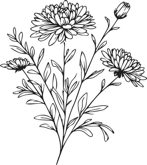 Flower Cluster Drawing, Aster Flower Drawing, Cluster Drawing, Aster Flower Tattoos, Aster Flowers, Pyrography Ideas, Flowers Coloring Pages, Flowers Sketch, Easy Flowers