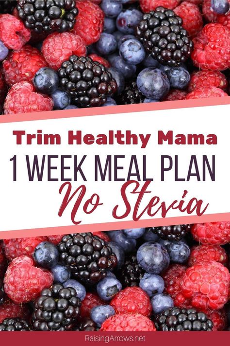 Thm S Meals, Thm Meal Prep, Trim Healthy Mama Recipes Dinner, Trim Healthy Mama Meal Plan, Thm Meal Plans, Trim Healthy Mama Diet, One Week Meal Plan, Lean Meal Plan, Thm Snacks