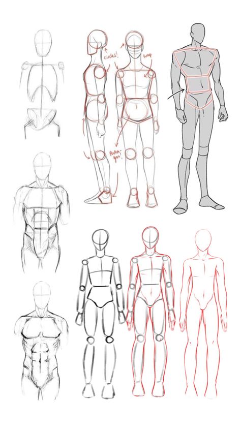 Drawing The Human Head, Male Body Drawing, Male Art Reference, Human Body Drawing, Body Tutorial, Comic Book Drawing, Body Shape Drawing, Drawing Body Poses, Anatomy Tutorial