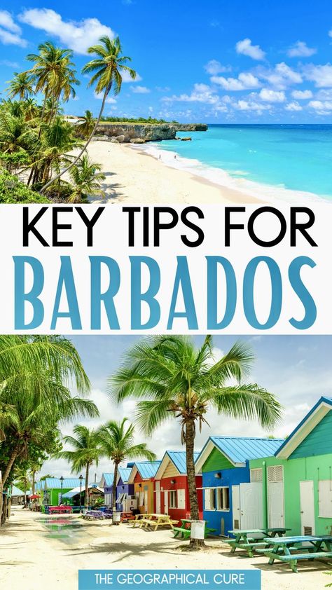 15+ Tips For Visiting Barbados Things To Do In Barbados Top 10, Things To Do In Barbados, Carribean Travel, Barbados Vacation, Caribbean Life, Barbados Travel, Travel Caribbean, Caribbean Hotels, Lifestyle Board