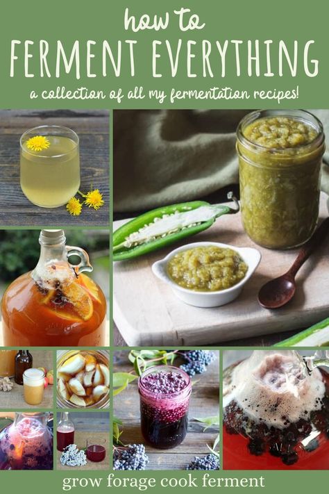 Ever wanted to learn how to ferment EVERYTHING? Here's a collection of all my fermentation recipes! From mead, fermented sodas, fermented fruits, vegetables, raw honey, and much more! Honey Fermenting, Fermented Oats, Ancestral Kitchen, Fermented Herbs, Fermented Grains, Canning Basics, Ferment Vegetables, Fermenting Recipes, Fermented Fruit