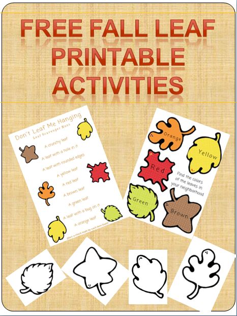 FREE Fall Leaf Printable Activities book for kids! Leaf Coloring pages, nature scavenger hunt and more! Fall Leaves Activities, Leaf Printables, Autumn Preschool Theme, Leaf Coloring Page, Fall Lesson Plans, November Activities, Tree Study, Fall Preschool Activities, Fall Lessons