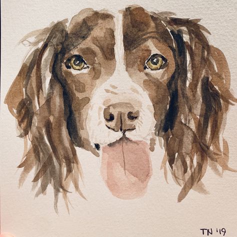 Springer spaniel Watercolour Dog Easy, Springer Spaniel Drawing, Boykin Spaniel Drawing, Springer Spaniel Painting, Springer Spaniel Watercolor, Cocker Spaniel Watercolor Paintings, Spaniel Watercolour, English Springer Spaniel Watercolor, Boykin Spaniel Art