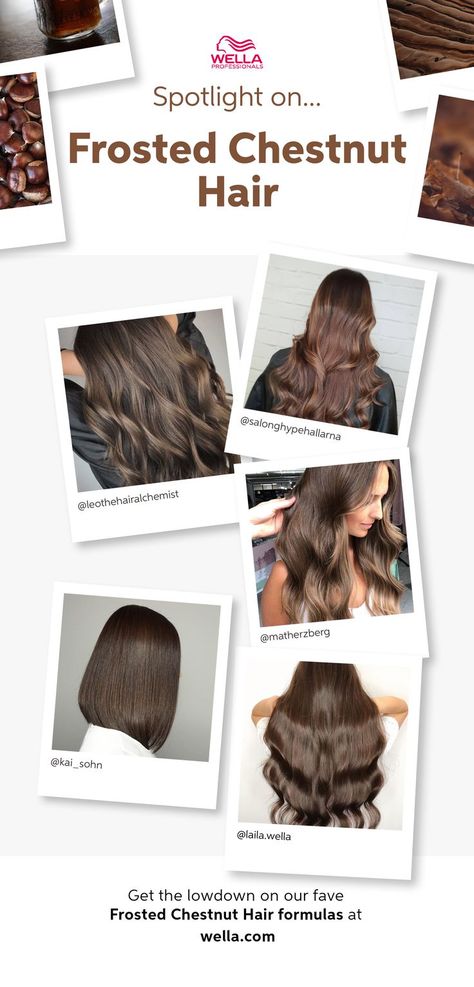 Think rich and warm brunette hair with caramel chestnut hues... find all your frosted chestnut hair color inspiration on our Trend Hub. Wella Hair Color Chart, Warm Brunette Hair, Brown Hair Color Chart, Hair Formulas, Hair Color Brown Chestnut, Hair Color Inspiration, Balayage Caramel, Caramel Brown Hair, Chestnut Brown Hair