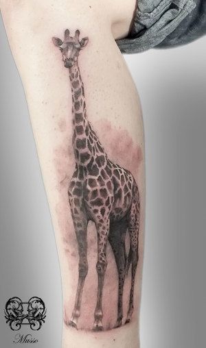 Hart Tattoo, Giraffe Tattoo, Rhino Tattoo, Africa Tattoos, Animal Sleeve Tattoo, Glasgow City Centre, Gorilla Tattoo, Full Leg Tattoos, Birthday Tattoo