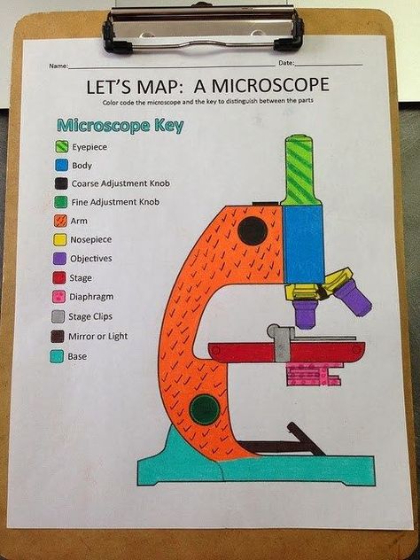 Microscopes are cool and lots of fun, but it's important that you know how to use everything on it and know how it works. This printable label and color sheet is just the thing you need to get started! #microscope #learning #learningforkids #microscopeparts #printables #learnaboutmicroscopes Parts Of A Microscope, Science Cells, Biology Classroom, 7th Grade Science, 8th Grade Science, 6th Grade Science, Biology Lessons, Teaching Biology, Science Notes