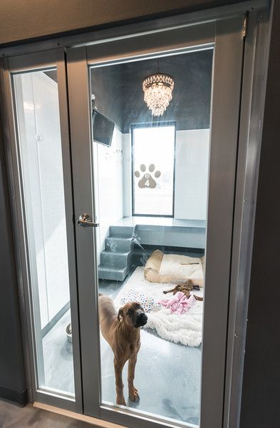 © Julie Prairie Photography 2016 Dog Boarding Ideas, Luxury Dog Kennels, Dog Boarding Facility, Dog Boarding Kennels, Dog Bedroom, Dog Kennel Designs, Med Vet, Puppy Room, Spoiled Pets