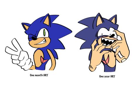 Hungry Hero.exe, Hungry Hero Sonic, Sonic The Hungry Hero, Sonic Exe Oc, How To Draw Sonic, Sonamy Comic, Kidcore Art, Finding A New Hobby, Sonic Exe