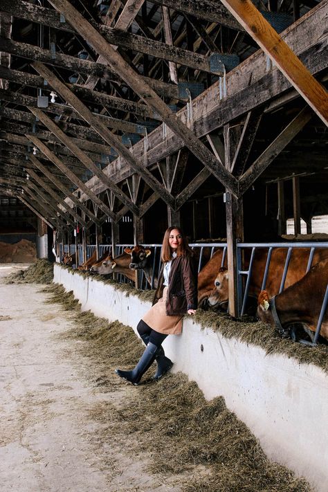 Cattle Housing, England Houses, Abandoned Farmhouse, Foto Cowgirl, Cattle Barn, Big Farm, Abandoned Cities, Farm Business, Farm Photography